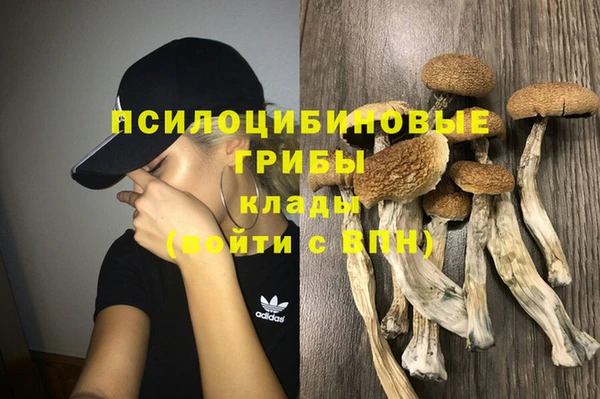 эйфоретик Верхний Тагил